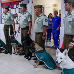 Imagen Patrulla Canina de Carabineros llenó de sonrisas el HGGB