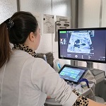 Imagen Realizan primera tele-ecografía entre el HGGB