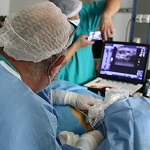 Imagen Con novedosa técnica trataron dolor crónico de un niño